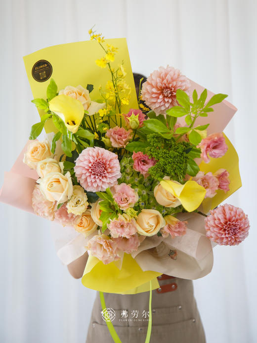 人生明灯 商品图0