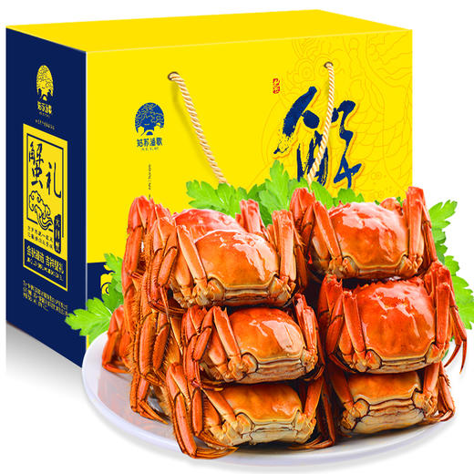 姑苏渔歌皇家精品898型 商品图1
