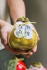 荷兰进口石蜡朱顶红 商品缩略图8