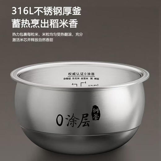 九阳F-20F081L 0涂层钢釜电饭煲[DQ8] 商品图1