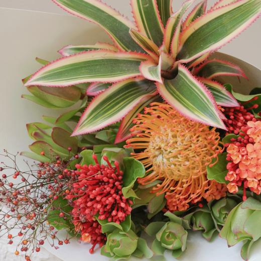 甜熟交响 Sweet Sonata 商品图2