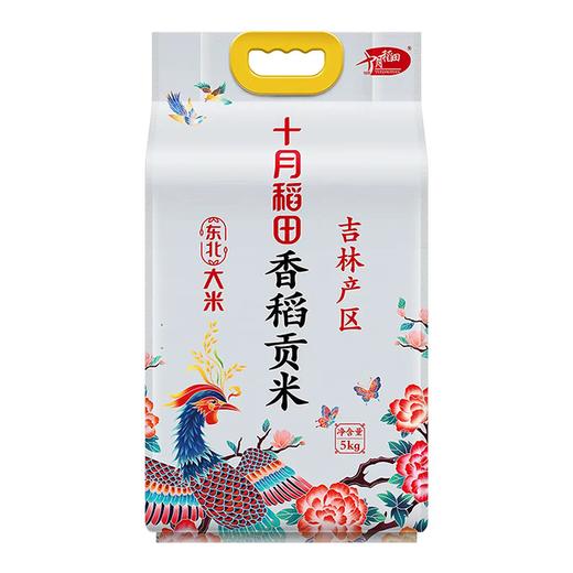 十月稻田 香稻贡米5kg 商品图0