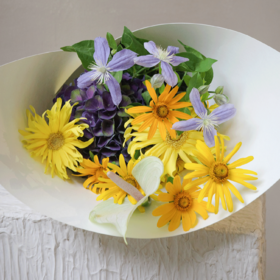 暮霭私语 Whisper in Gloaming