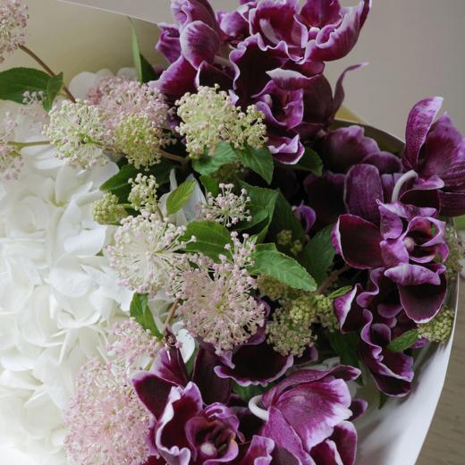 林间清影 Dappled Grove 商品图2