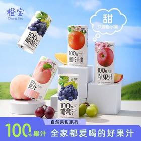 橙宝100%果汁四口味混合装195ml*6