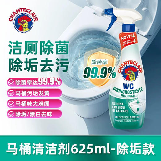 大公鸡管家马桶清洁剂（除垢）绿色 625ml 商品图0