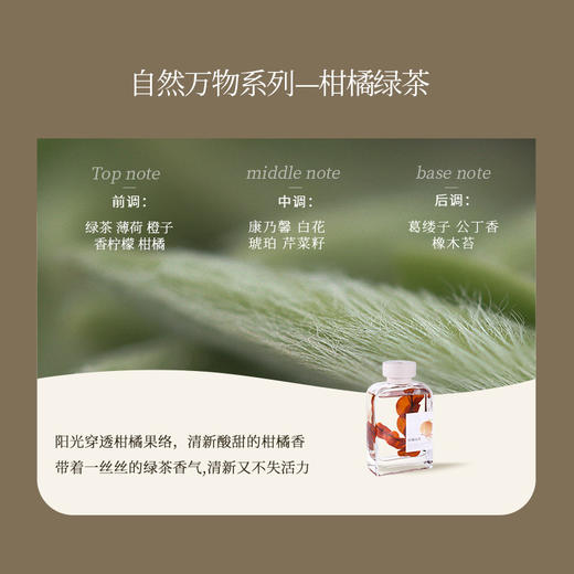 宋朝自然万物无火香薰卧室家用室内持久香氛精油宋朝自然万物系列200ml 商品图3