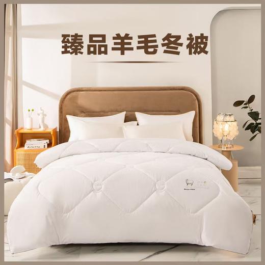 内野臻悦羊毛冬被（送100元现金券） 商品图0