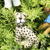 北京仓｜Felt So Good-Larry the Leopard-动物国王候选豹 拉里 羊毛毡 挂件［英国设计师］ 商品缩略图2