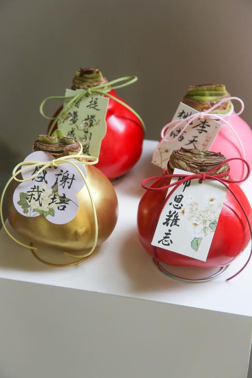 荷兰进口石蜡朱顶红 商品图0