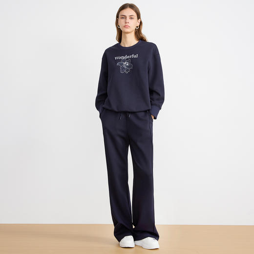 EITIE爱特爱精致绣花时尚通勤休闲圆领舒适秋季新款卫衣上衣C2513830 商品图1