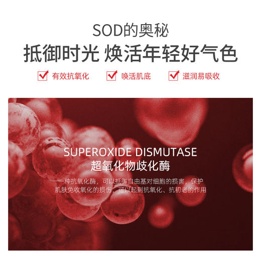 LK 人参SOD蜜 100g 商品图3