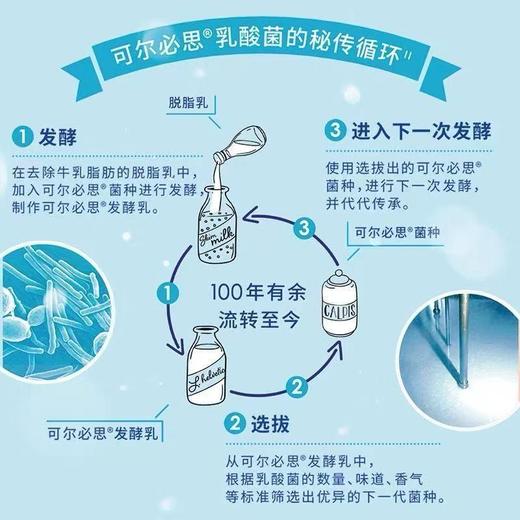 可尔必思乳酸菌风味饮料280ml*10 商品图4