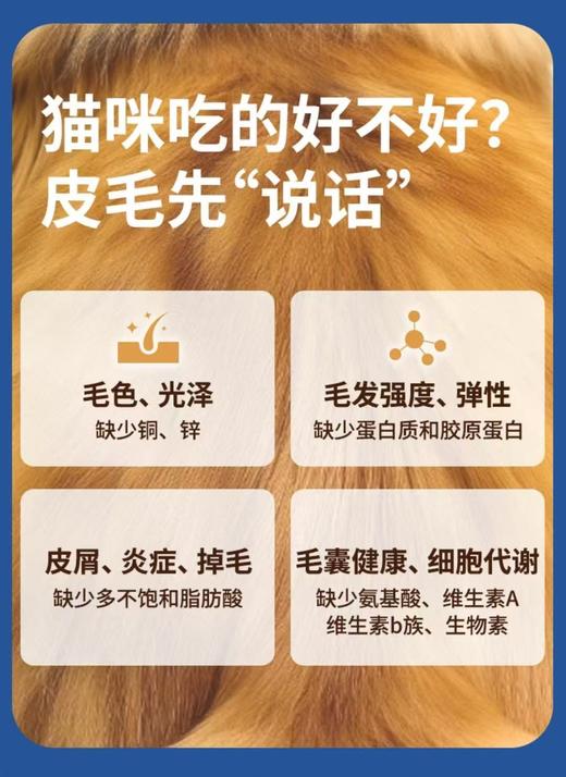 全价猫主食冻干 商品图4