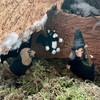 订购6周到｜Felt So Good-Wanda the Witch Biodegradable Halloween-女巫 旺达 羊毛毡 挂件［英国设计师］ 商品缩略图3