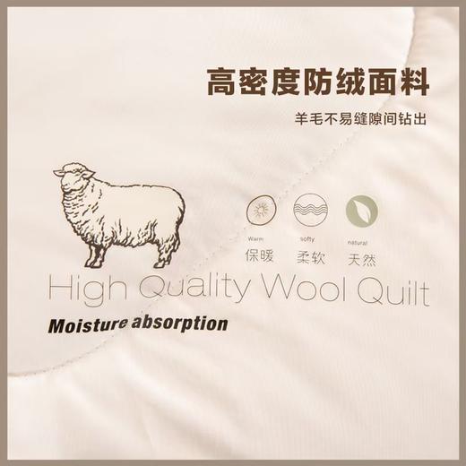 内野臻悦羊毛冬被（送100元现金券） 商品图1