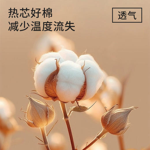 皇家丽美男士保暖裤 热芯好棉透气锁温 立体剪裁舒适亲肤BNN8F19 商品图2