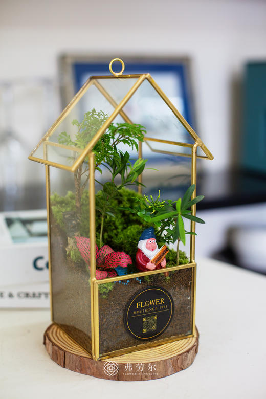 微景观 商品图2