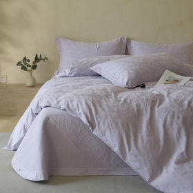 自然醒轻奢高支浮雕立体提花床盖款四件套HS