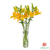 VDB百合-黄蝴蝶 5枝一扎 商品缩略图1