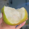 【礼盒装】脆蜜彩霞梨  855g/件 商品缩略图2