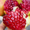 软籽石榴（礼盒）约4kg/件 商品缩略图1