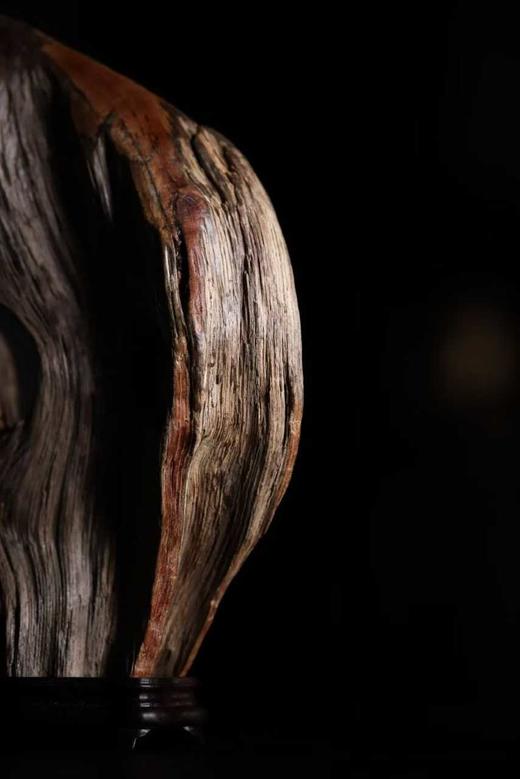 风化木x鹿角｜无相禅境 摆件 商品图7