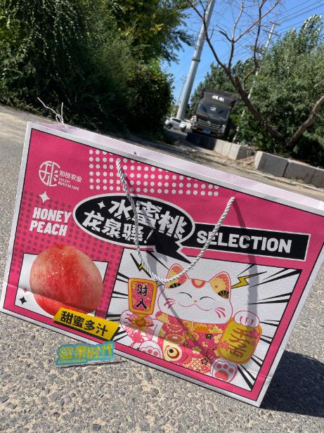 龙泉驿水蜜桃礼盒 商品图0