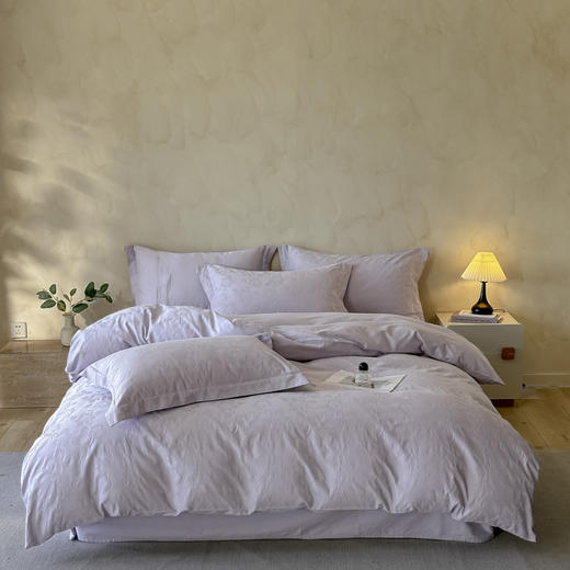 自然醒轻奢高支浮雕立体提花床盖款四件套HS 商品图1