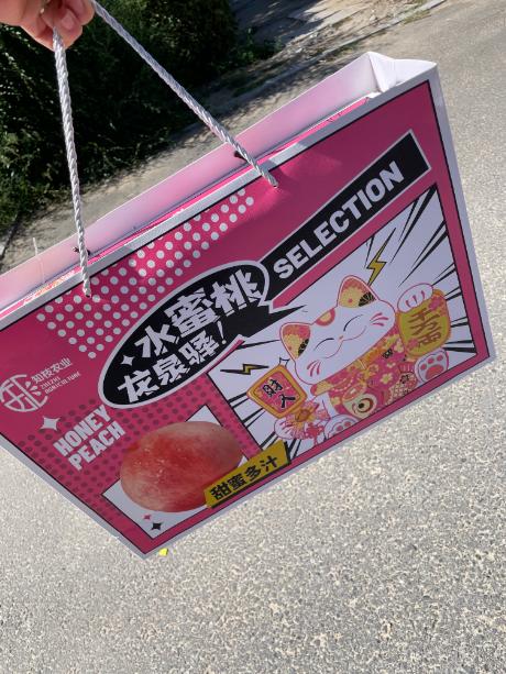 龙泉驿水蜜桃礼盒 商品图1