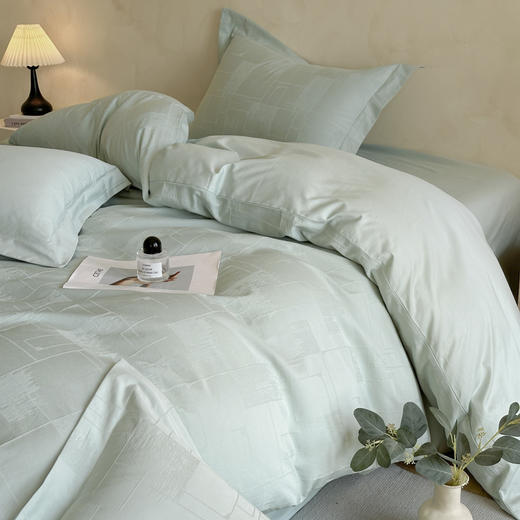 自然醒轻奢高支浮雕立体提花单件被套HS 商品图0