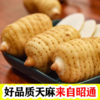 【云南昭通新鲜天麻】顺丰到家 个头短肥 肉质肥厚 口感回味甘甜 带泥发货 品质优良 新鲜现挖  4种规格任选 商品缩略图5