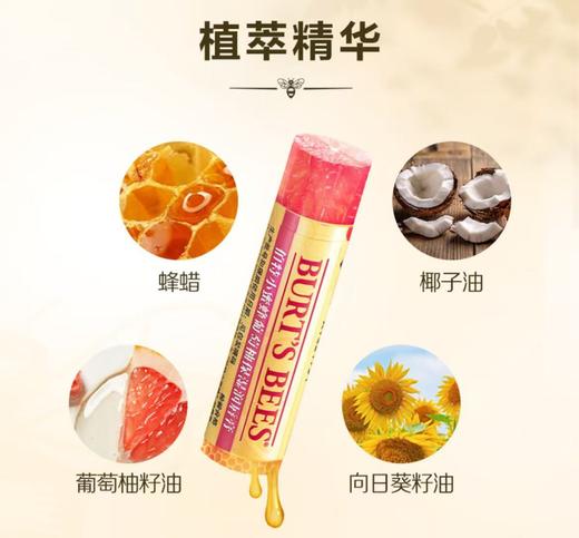 伯特小蜜蜂葡萄柚保湿润唇膏 商品图0