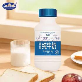 高原纯牛奶(PET瓶装大瓶)