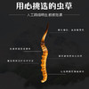 【冬虫夏草干货】顺丰到家 人工精挑细选 根根饱满 环纹清晰 干度适宜 虫体肥壮饱满 多种规格任选 商品缩略图7