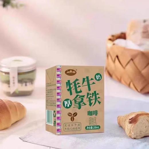 青海湖牦牛拿铁(咖啡) 商品图0