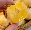 树上熟人参果500g+ 商品缩略图3