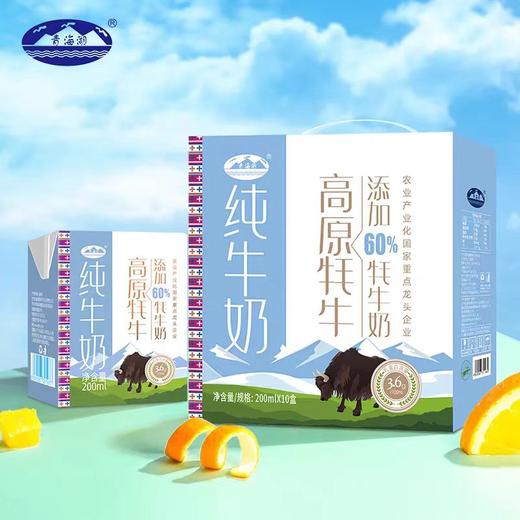 青海湖纯牛奶(60%牦牛奶) 商品图0