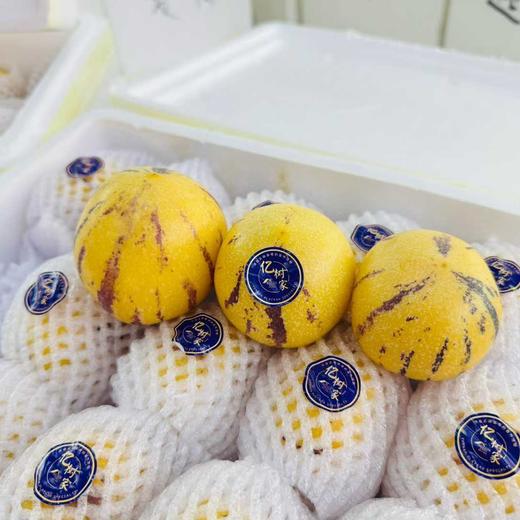 树上熟人参果500g+ 商品图1