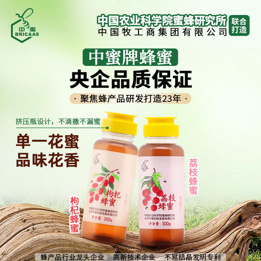 中蜜牌 枸杞蜂蜜 300g 挤瓶蜜 天然蜂蜜 商品图1
