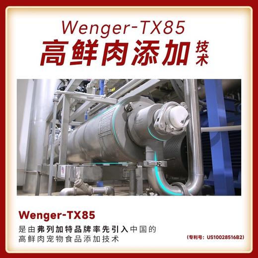 弗列加特高肉鲜肉喜好幼猫/成猫粮（鸡肉味）升级款2kg/8kg 商品图4