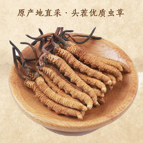 【冬虫夏草干货】顺丰到家 人工精挑细选 根根饱满 环纹清晰 干度适宜 虫体肥壮饱满 多种规格任选