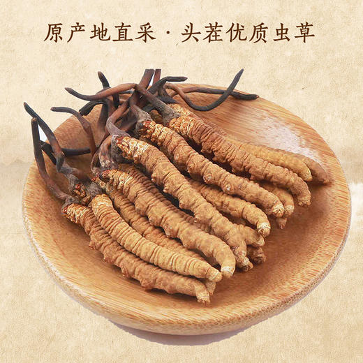 【冬虫夏草干货】顺丰到家 人工精挑细选 根根饱满 环纹清晰 干度适宜 虫体肥壮饱满 多种规格任选 商品图0