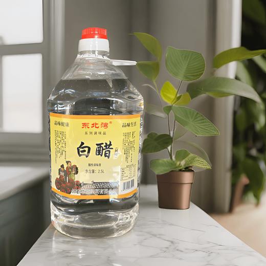【东北公司】东北湾白醋大桶装2.5kg 调味烹饪凉拌酿造食用凉拌汁家用凉拌菜专用调味汁 商品图2