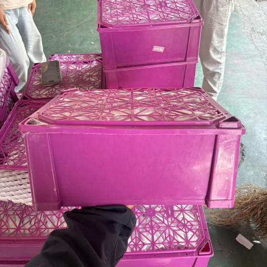 32.8元/件新疆樱桃李约3.5-4斤 商品图0