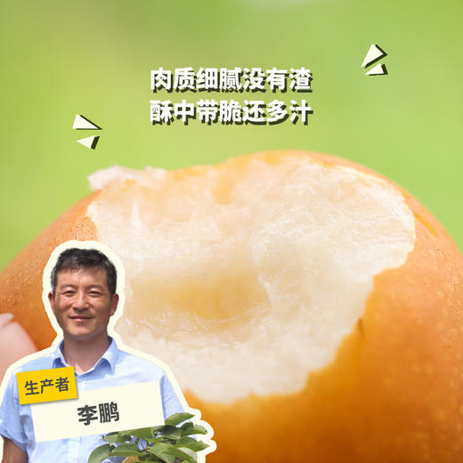有机秋月梨 | 合作生产 *Organic autumn pearpear | Coproduction 商品图0