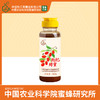 中蜜牌 枸杞蜂蜜 300g 挤瓶蜜 天然蜂蜜 商品缩略图0