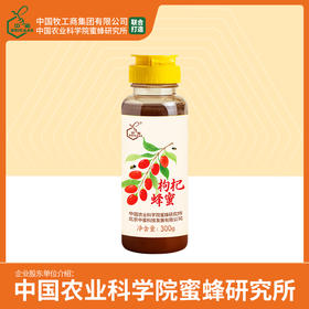中蜜牌 枸杞蜂蜜 300g 挤瓶蜜 天然蜂蜜