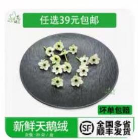 天鹅绒花30朵*1盒 商品图0