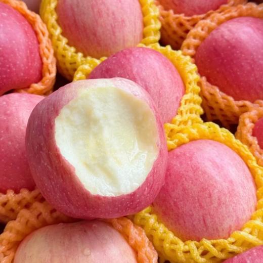 红富士苹果1kg+  4~6个 商品图0